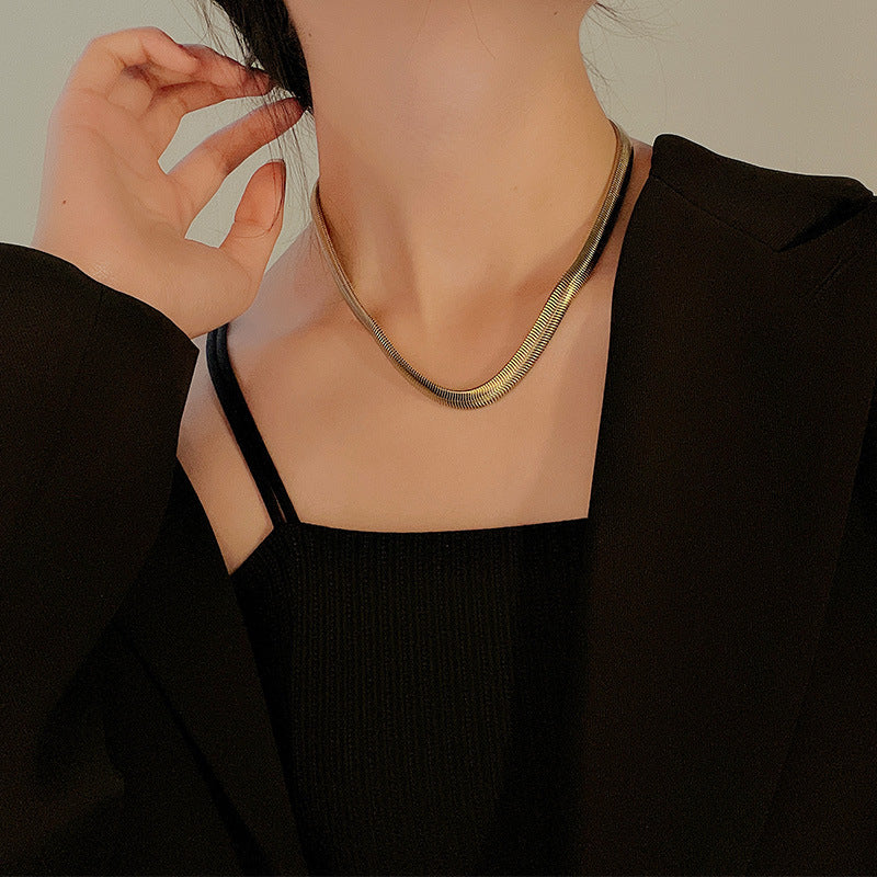 Titanium Steel Widened And Thickened Soft Snake Chain Necklace